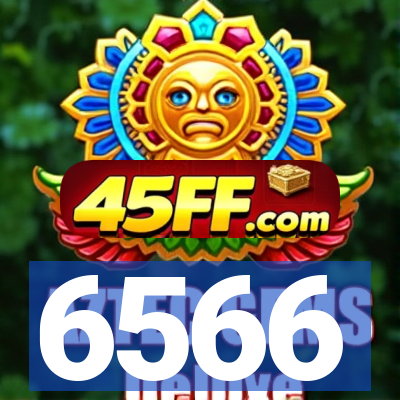 6566