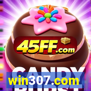 win307.com